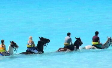 Horse Riding in Hurghada